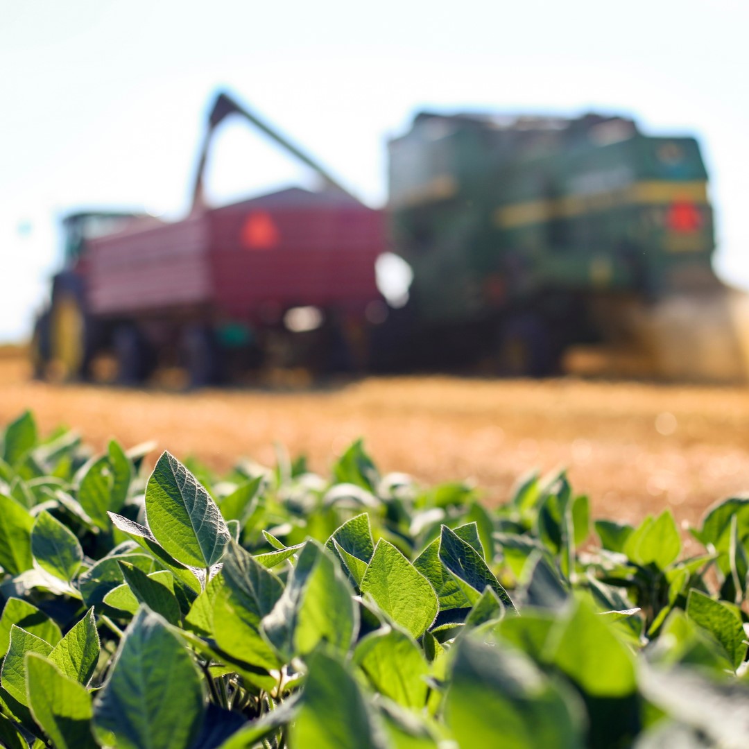 PAN Europe tweet media