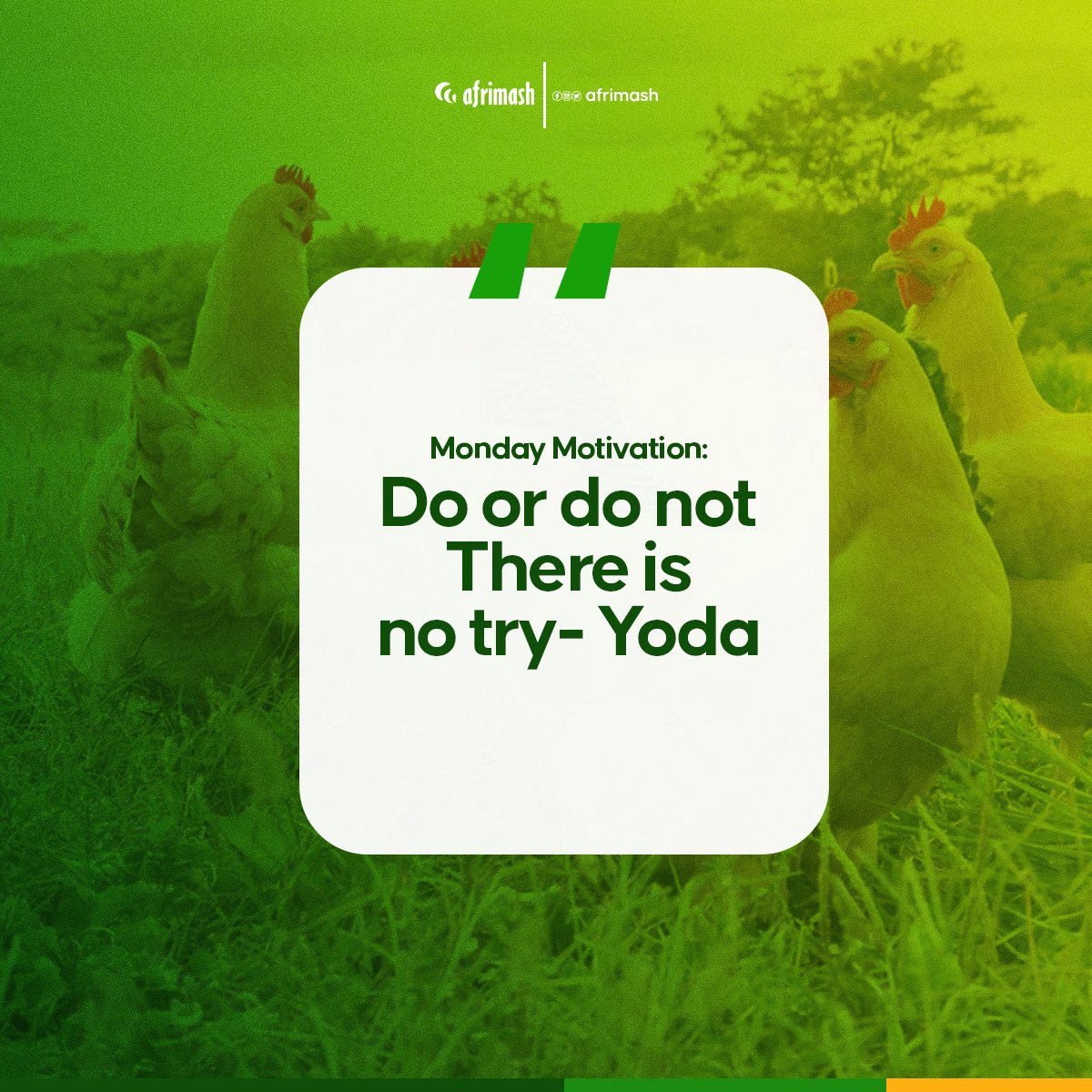 afrimash's tweet photo. Do. Or do not.” isn’t an action. It’s a frame of mind. It’s not about what happens if you can’t do the thing.
Here is to a great week of making things happen through our doings!
#afrimash #monday #mondaymotivation #farmneeds #farminput #farmsupplies #farmsupport #ecommerce https://t.co/lwnt0tABGP