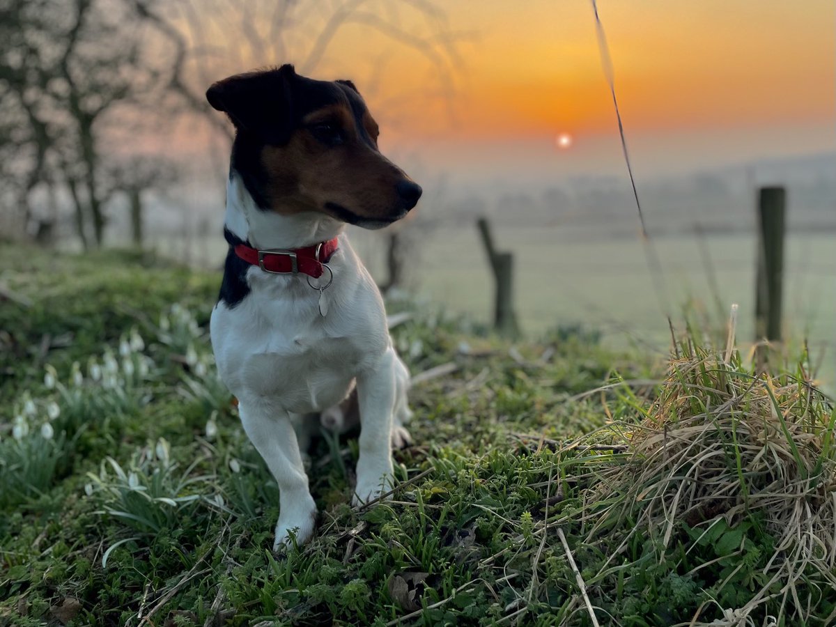 BBC Cameron Buttle tweet media