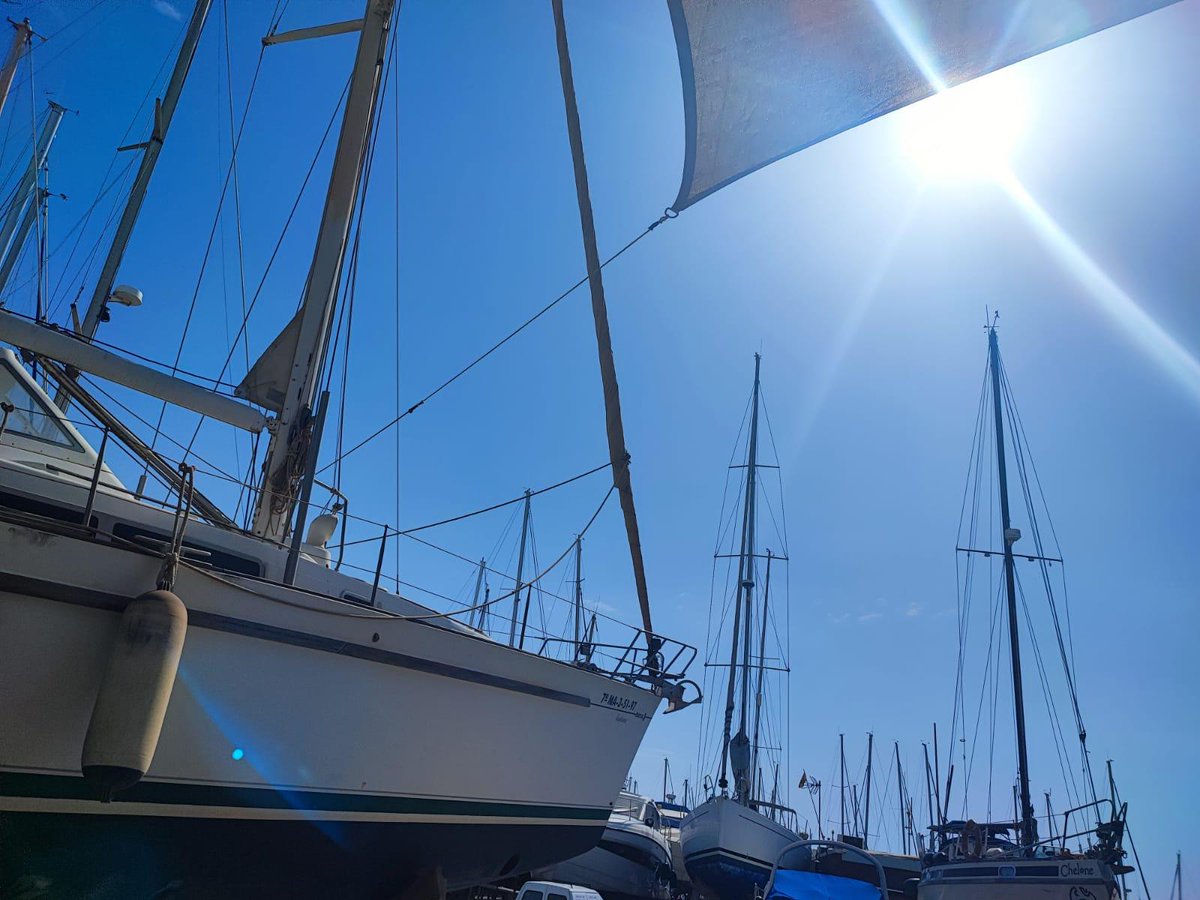 ClusterMMA's tweet photo. Sonríe el sol a los navegantes que quieren abrazar el horizonte. ¡Feliz semana azul y buena singladura! #economiaazul #bluegrowth #andalucia #innovacion #pasionporlaeconomiaazul #vivimoselmar #lamarnosune https://t.co/pj6TNVFEnc