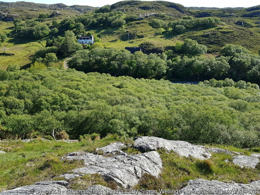 geograph_bi's tweet photo. Picture of the Day from the far #northwest 2022
#Strathan #Sutherland #woodland #potd 7394736 https://t.co/XgNAjiZ7NF