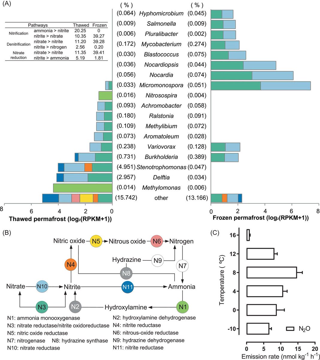 iMeta (@imetascience) on Twitter photo Microorganisms as bio‐filters to mitigate greenhouse gas emissions from high‐altitude permafrost revealed by nanopore‐based metagenomics
#Bioinformatics #microbiome #nanopore #ClimateCrisis #globalwarming
<a href="/wileymicrobio/">Wiley Microbiology</a> <a href="/wileyinresearch/">Wiley in research</a>
onlinelibrary.wiley.com/doi/10.1002/im… Microorganisms as bio‐filters to mitigate greenhouse gas emissions from high‐altitude permafrost revealed by nanopore‐based metagenomics
#Bioinformatics #microbiome #nanopore #ClimateCrisis #globalwarming
<a href="/wileymicrobio/">Wiley Microbiology</a> <a href="/wileyinresearch/">Wiley in research</a>
onlinelibrary.wiley.com/doi/10.1002/im…