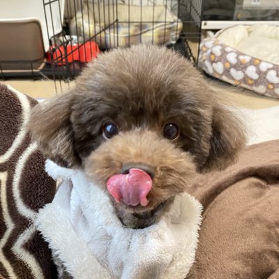 linotama0317's tweet photo. #新しいプロフィール画像 https://t.co/ShnCfF1sNM