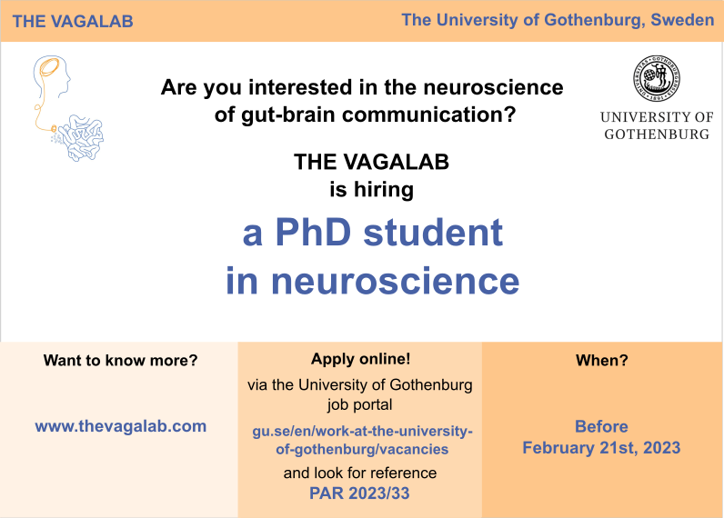 🚨🚨One week left to apply!🚨🚨
The VAGALab at the University of Gothenburg 🇸🇪 is recruiting a PhD student!!!

The project will focus on the neuroscience of gut🔁brain communication! 
👩‍🔬The lab: thevagalab.com
👉APPLY: tinyurl.com/mvj9npyc