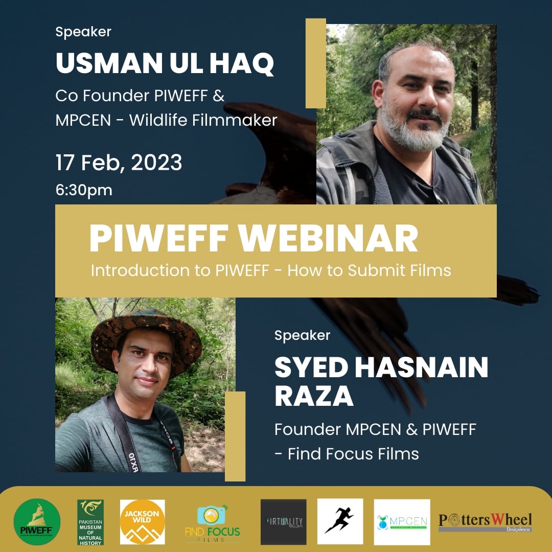 Piweff tweet media