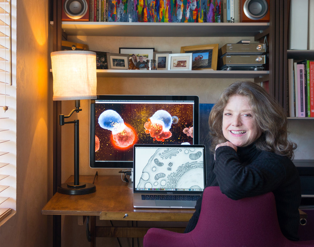 Allison Bruce won Best of Show in BioImages 2022 with her image Mitosis. Learn more about how she created it in Behind the Image bca.org/Post-Post-Deta… bca.org/BioImages-Winn… #micrography #illustration #illustrationartists #sciart #microscopy