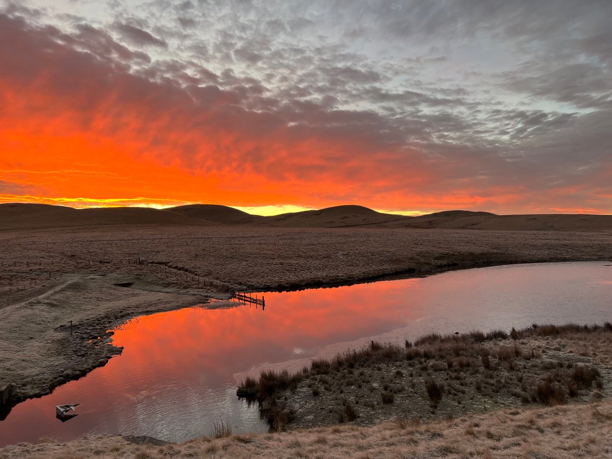 An amazing start to the working week, as our #ecology teams across the UK head out to undertake survey work across a variety of critical projects in the low carbon economy.