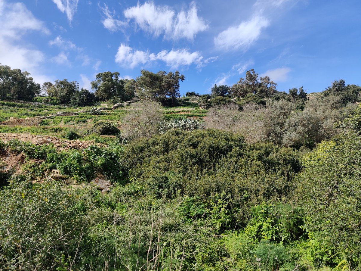 GM GM ☕ 2 months into the New Year. How's 2023 treating you fam? Been a cyclone of events so far and this is my hiding spot 👇🏼☺️ Nature is grounding 🙏🏼 What's your fav spot to chill? Share pics or comments below 🤗