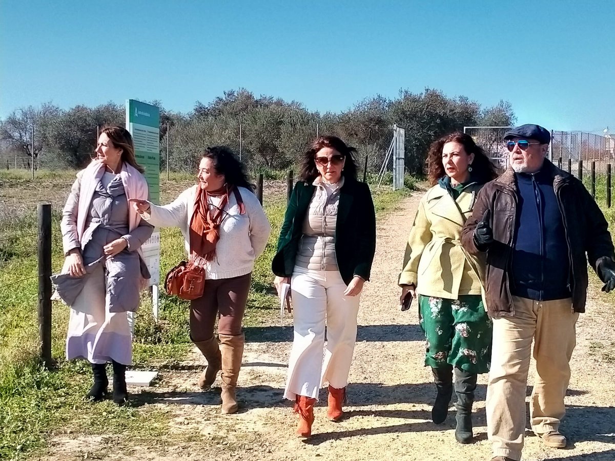 VOX_Valencina's tweet photo. 🔎 @AnucaCarles, @rromerovilches y @AnaRuizVazquez_ visitan el dolmen de La Pastora, uno de los mayores emblemas de nuestro pueblo.

👉 Valencina tiene un gran patrimonio histórico y cultural que debe ser incentivo de cultura y empleo.

#CuidaLoTuyo
#VoxContigo https://t.co/UQDomhHXQR