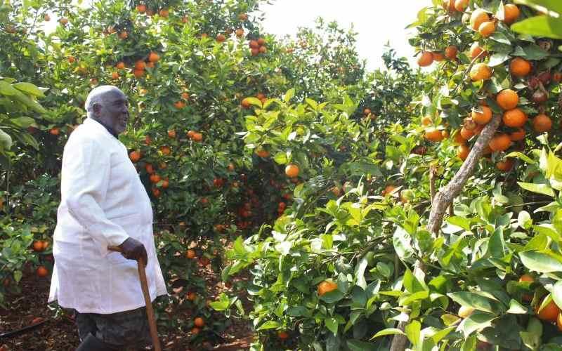 FarmKenya254's tweet photo. The wonder that is Joyland Farms! 

They call it the modern-day garden of Eden, a hidden paradise that is located in the vast semi-arid county of Makueni. https://t.co/qHAwC6j5Id https://t.co/mpgbzqokcY