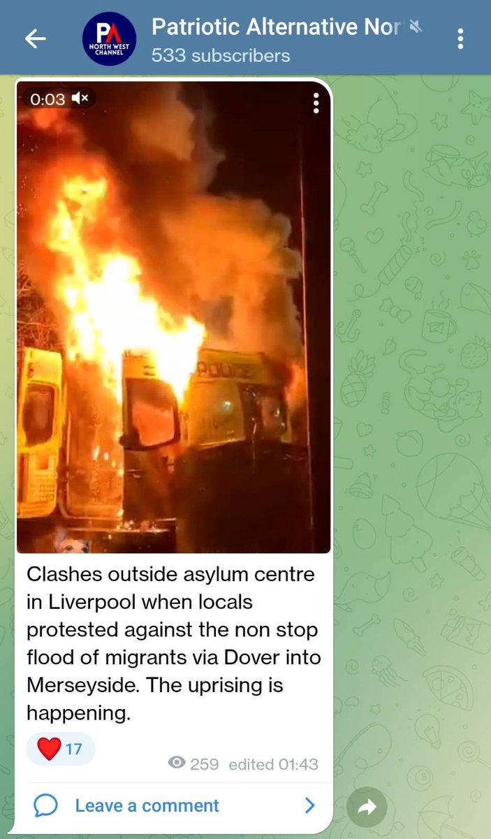 North West PA activist James Mac/Costello, who was close to banned neo-Nazi terrorist group National Action, was present at the protest. PA's North West region posted about the events on Telegram, claiming the violence showed 'the uprising is happening'.