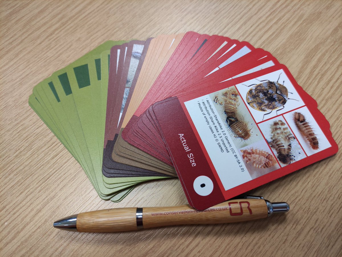 ConservationRUK's tweet photo. Pests - the bane of every #museum & #historiccollection. But help is at hand, thanks to a card game that was created to boost museum staff's knowledge of the main offenders, including identification & treatment. #pests #toptrump #insects #bugs #savethemuseum https://t.co/BYHBbhRitw