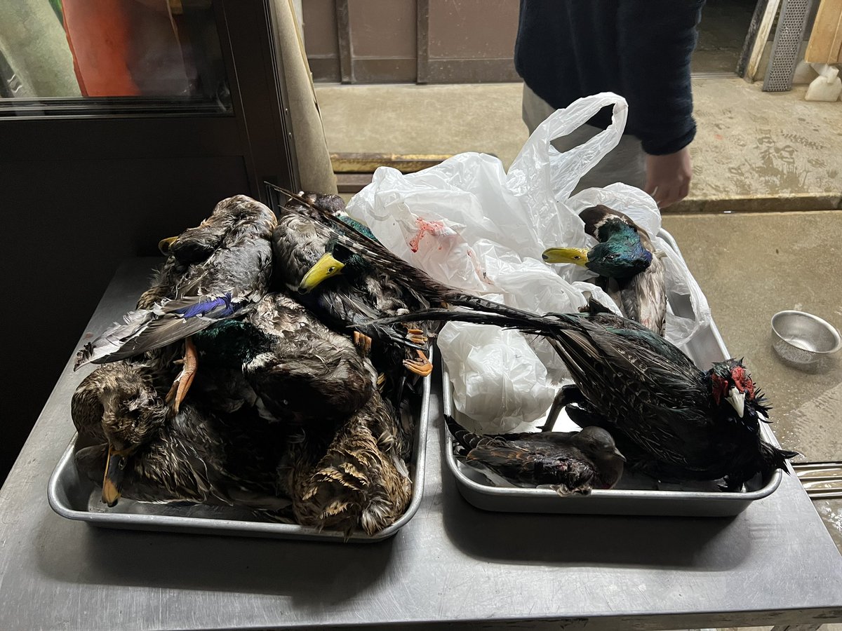 4人で！大漁🥺