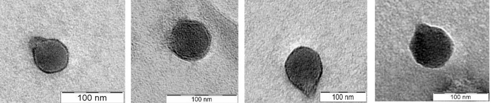 bentpetersen's tweet photo. Discovering new viruses in the tropical rainforest that can combat Salmonella and reduce the use of antibiotics in the food industry. Our study finds four novel bacteriophages with unique host ranges and high efficacy in reducing Salmonella.
#phages #AMR 
https://t.co/hDEFBxJHPH https://t.co/KVsnNuLUpj