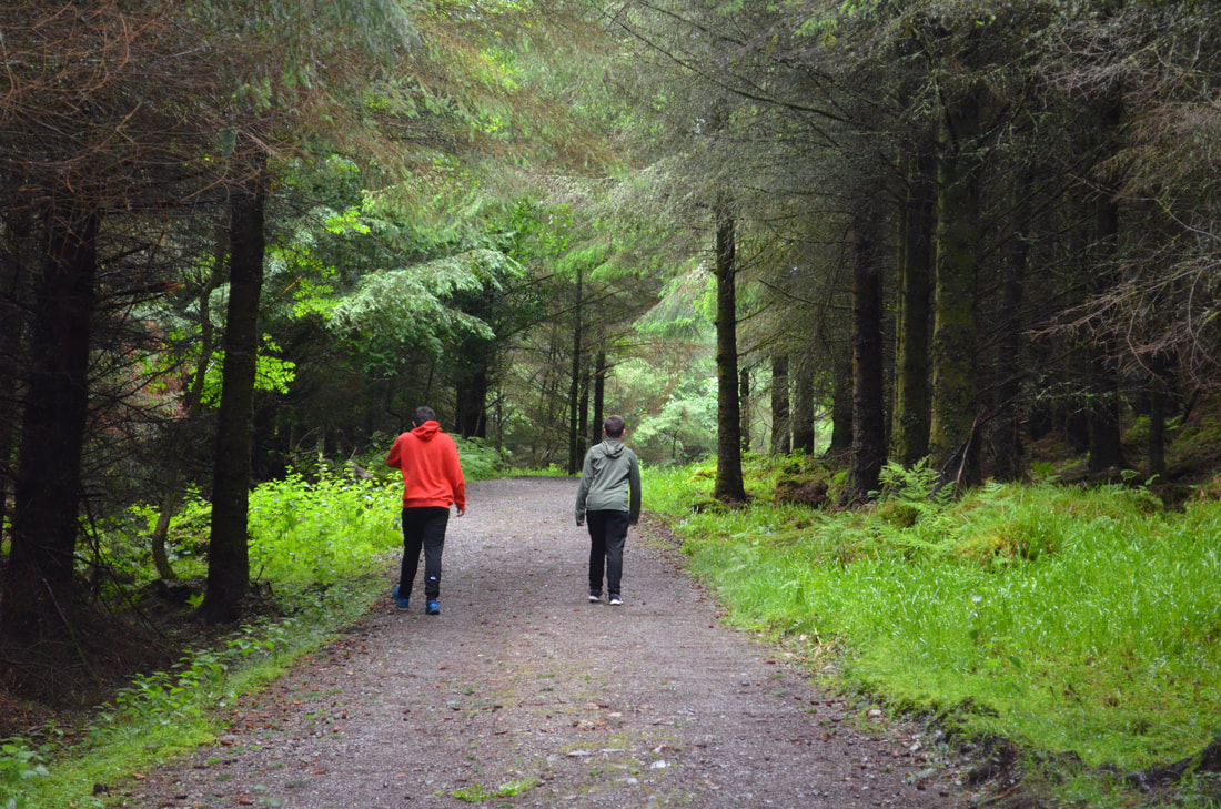 Mid-term,  enjoy one of Sligo's many walks choosesligo.com/sligo-walks.ht… #choosesligo #Sligo #Midterms2022