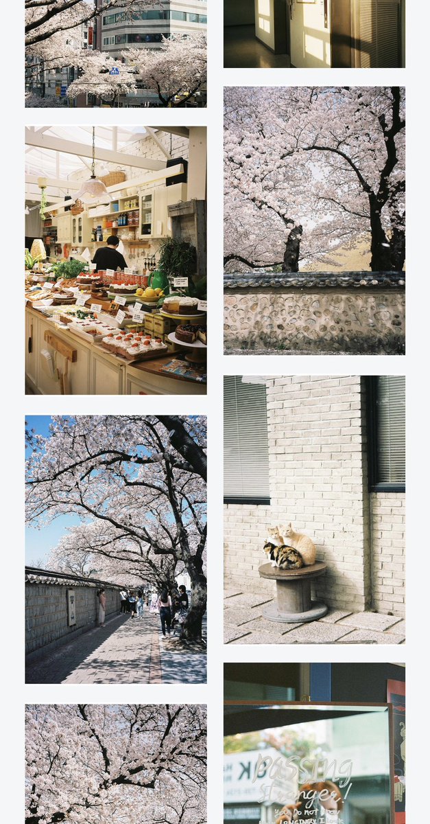 selling my film prints on darkroom and 100% of profits are going to the white helmets for all of february - caricakes.darkroom.com