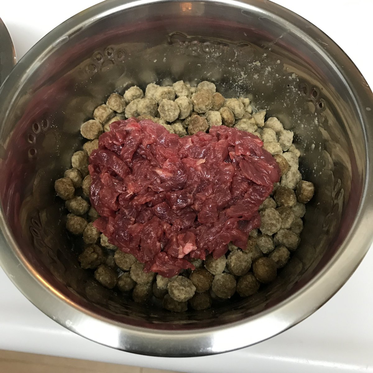 kogeten's tweet photo. 今日はコゲの誕生日

こっちで過ごしていれば18歳

馬肉なんてすっかり買うことなくなったけど、毎年狂ったように喜んで食べてたよなぁ。。。☺️ https://t.co/0VC14qwlst