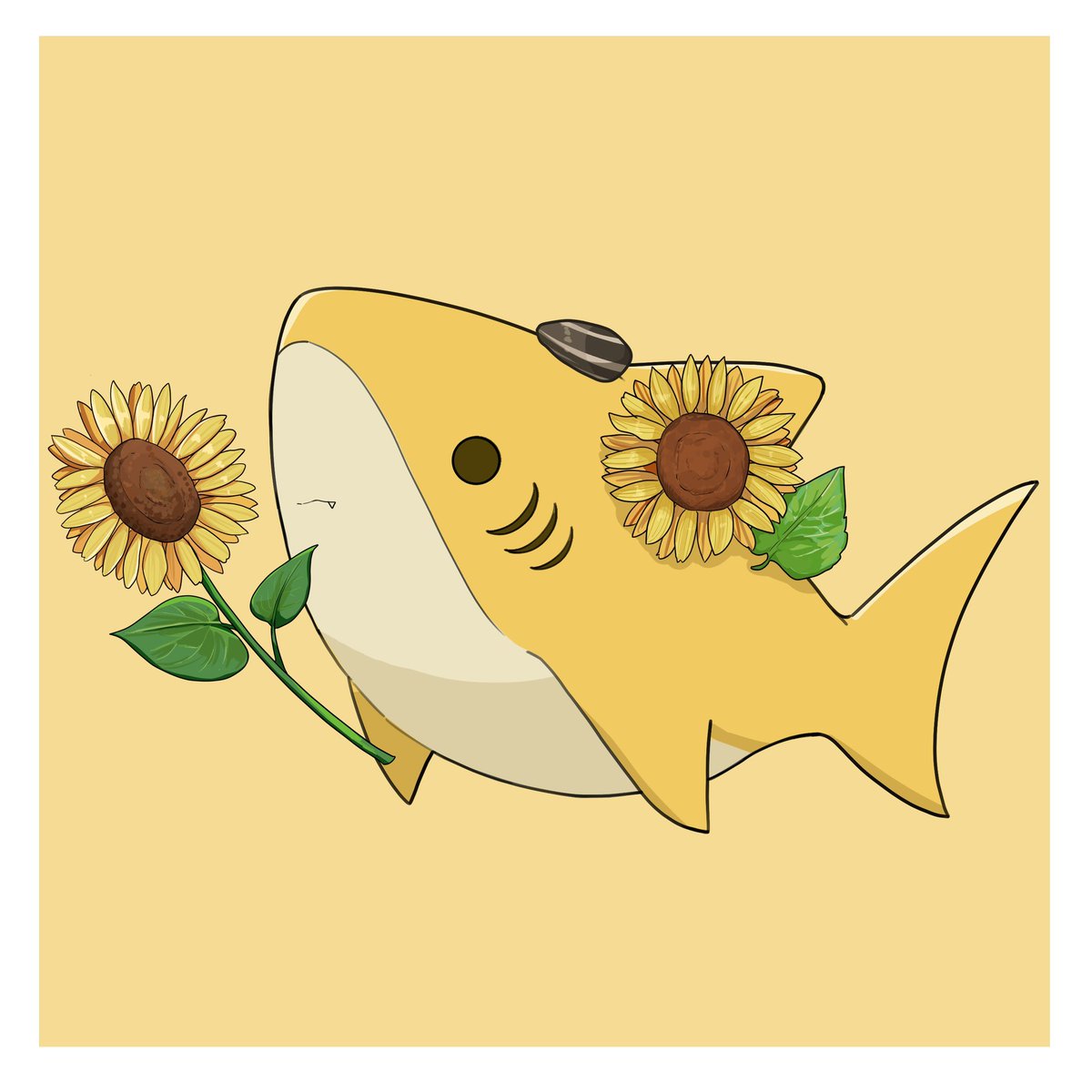 sunflower no humans flower border white border hat simple background  illustration images