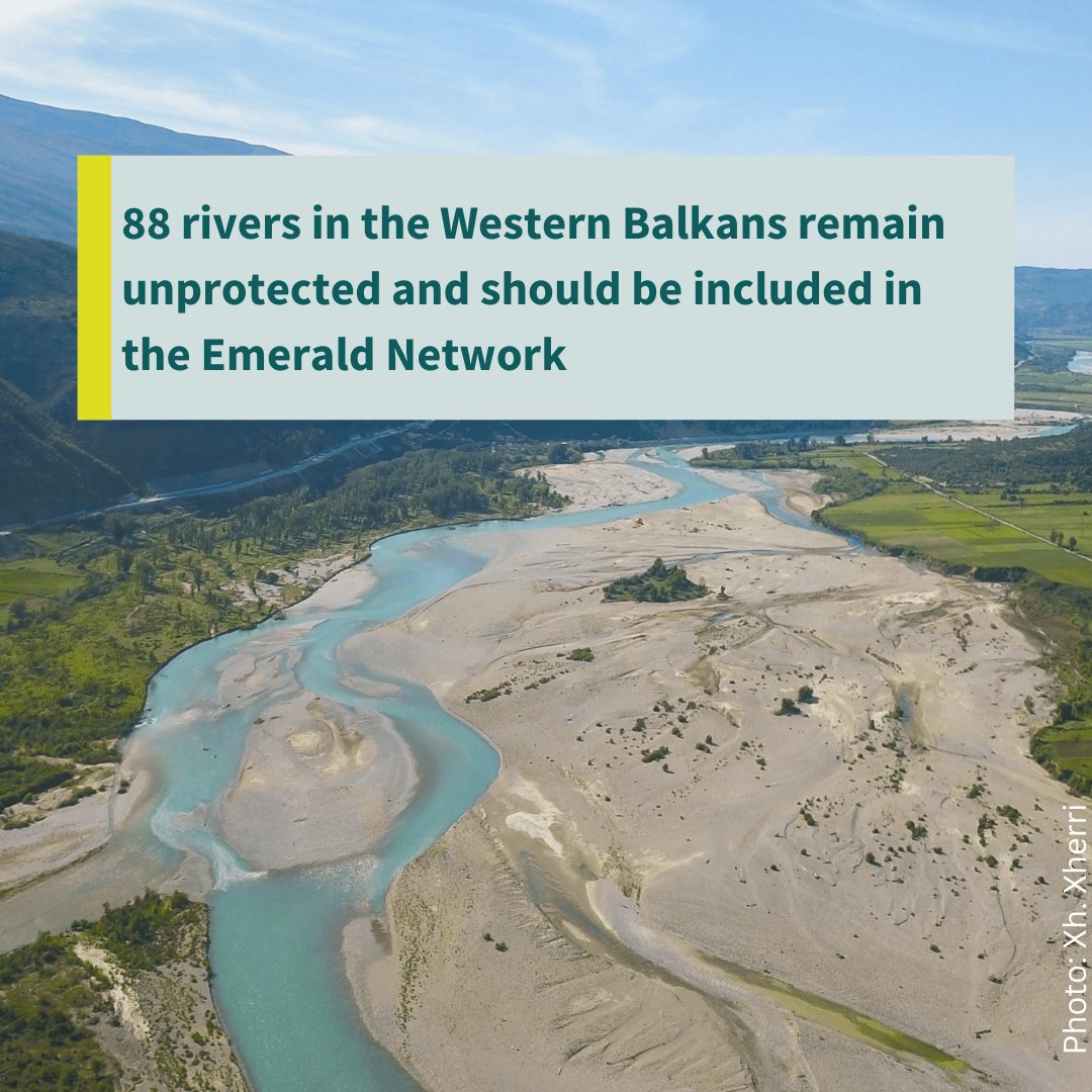 Today, scientists and NGOs from 11 countries published a list of 88 #rivers they consider a high priority for protection, urging #WesternBalkan Bern Convention signatory countries to expand the Emerald Network in the region. 
Read more - LINK: bit.ly/3Im7o5n