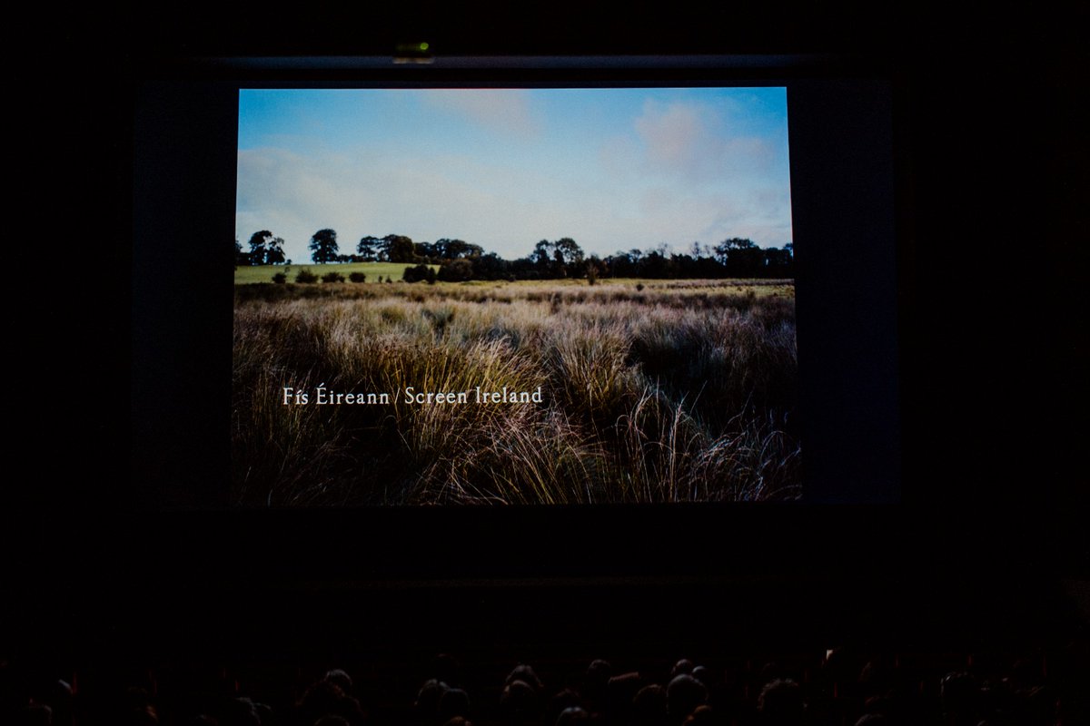 📽️🇮🇪 Grazie a chi è stato con noi per l'anteprima di #TheQuietGirl (#AnCailínCiúin) al Cinema Nuovo Sacher di Roma

📸 <a href="/emanuelesanita/">Emanuele Sanità</a>