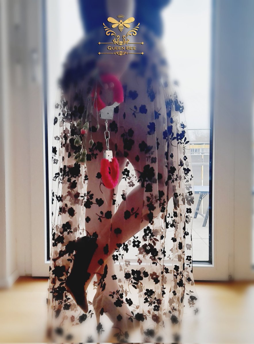 Queendom_Bee's tweet photo. Die neue Woche hat angefangen. Morgen ist der 14.02! Haben alle Schweinchen schon Valentinsgeschenke für ihre Angebetete besorgt?🌹🎁
#ValentinesDay #roses #presents #showyourdevotion #Everyday #kinky @FaDo_FinSupport @Brun0Parent @Niveaslave @Giovann64108095 @ScsBoi4fun https://t.co/k0xnzX00qG