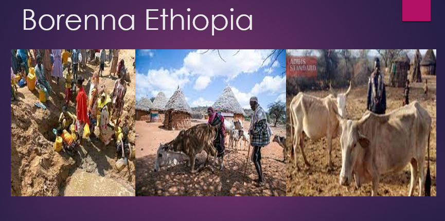 _EsubalewDefere's tweet photo. @ButaDubi @EU_Commission @eucopresident @vonderleyen Borenna Ethiopia😂😂😂😂 https://t.co/A0moVfwgY8