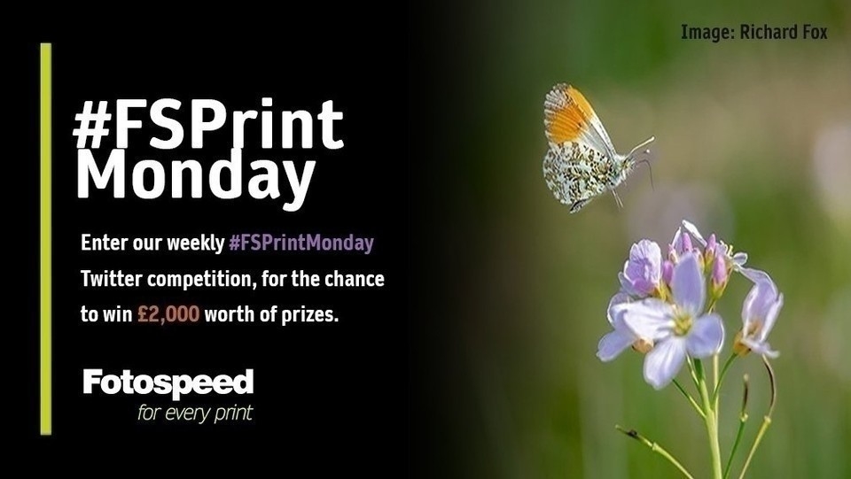 Fotospeed's tweet photo. 🔔Dont forget to enter this weeks #fsprintmonday . 🔔

Check out all of last week's entires https://t.co/XDYAg2CdCO
and how you can win over £2000 worth of prizes.

#goodluck  #printing #happyprinting #photographycompetion  #canonphotography #epson https://t.co/m8zqQk233e