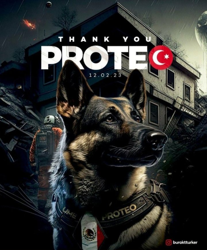 neslicevik_anar's tweet image. Seni unutmayacağız teşekkürler😢😔 #prote