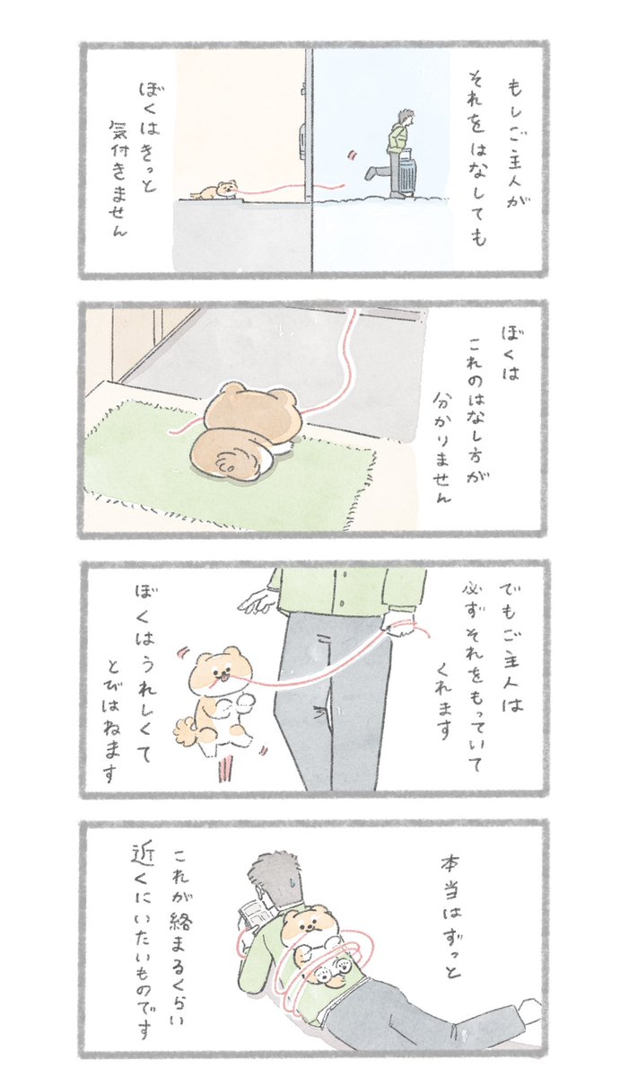 家族の糸
#こんにちはいぬです 