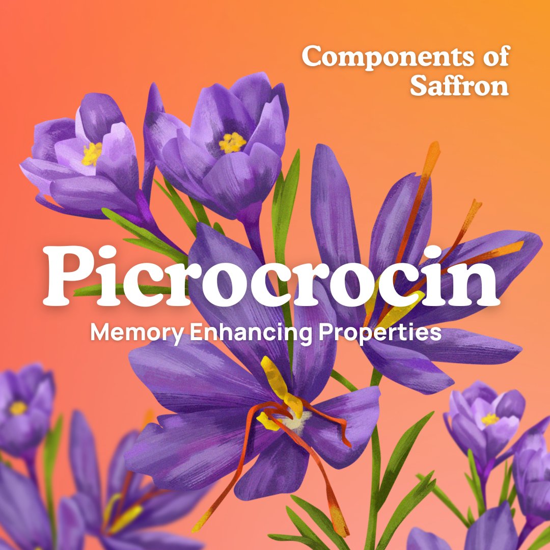 therarefoodco's tweet photo. Components of Saffron
#quality #healthylifestyle #culinary #safran  #Saffron #exoticflavor #SaffronLove #saffronspice #goldenthread #saffronstigma #saffronseason #Crocin #saffroncolor #Crocin #IamReal #IAmRare #IAMRAW #puresaffron #realsaffron #authenticsaffron #naturalsaffron https://t.co/PiMAF1Aod3