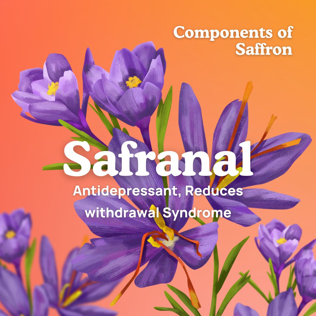 Components of Saffron
#quality #healthylifestyle #culinary #safran  #Saffron #exoticflavor #SaffronLove #saffronspice #goldenthread #saffronstigma #saffronseason #Crocin #saffroncolor #Crocin #IamReal #IAmRare #IAMRAW #puresaffron #realsaffron #authenticsaffron #naturalsaffron