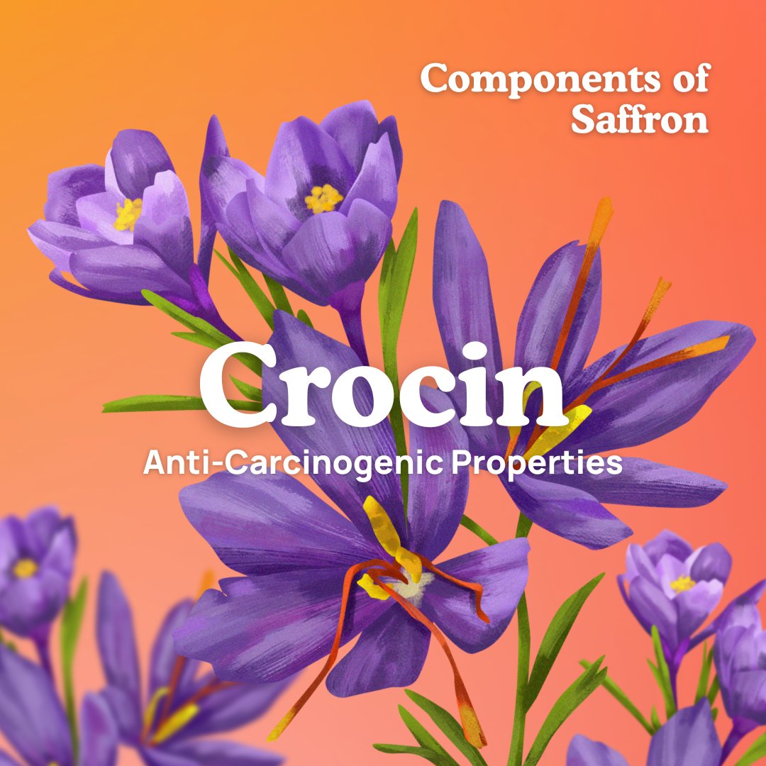 therarefoodco's tweet photo. Components of Saffron
#quality #healthylifestyle #culinary #safran  #Saffron #exoticflavor #SaffronLove #saffronspice #goldenthread #saffronstigma #saffronseason #Crocin #saffroncolor #Crocin #IamReal #IAmRare #IAMRAW #puresaffron #realsaffron #authenticsaffron #naturalsaffron https://t.co/PiMAF1Aod3