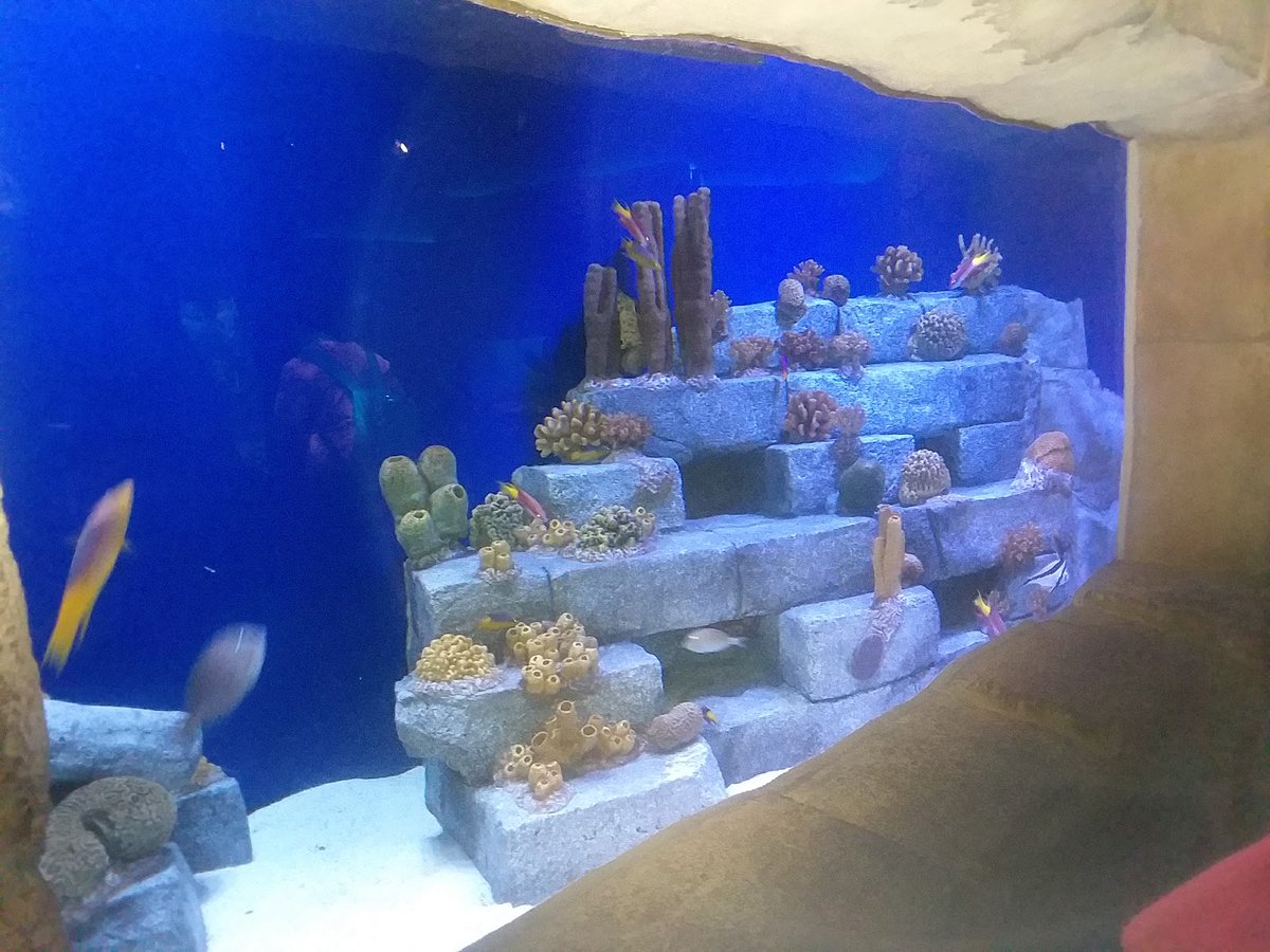 Janice on Twitter "RT TownsUsa Pascagoula, Mississippi Population