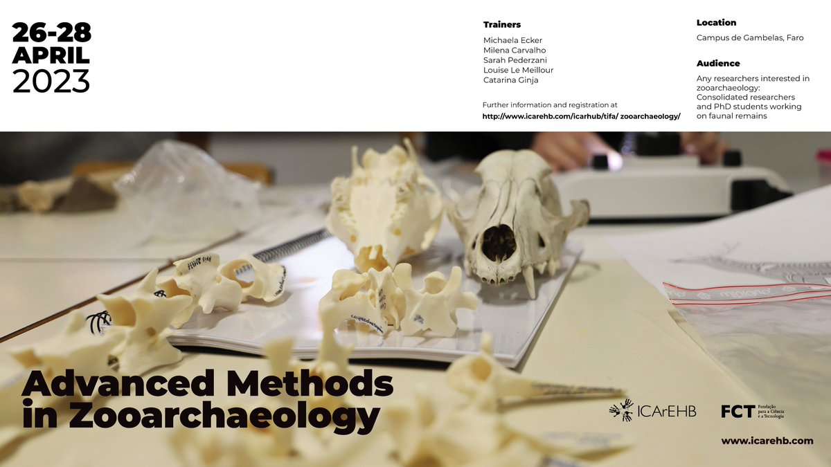 🔍 Advanced Methods in Zooarchaeology, 26-28 April 2023 at ICArEHB (Faro, Portugal)
More info: icarehb.com/icarhub/tifa/z…
