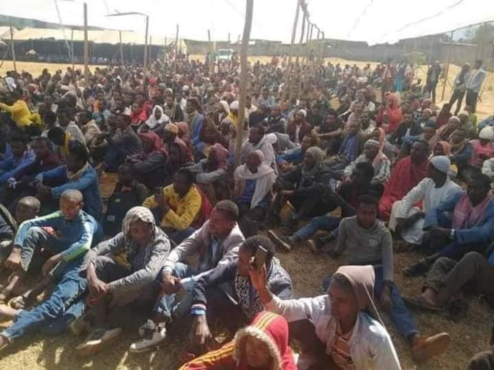 በሲዳማ ክልል በንሳ ዳዬ ከተማ በነበረ ዳዕዋ  #98 የሚሆኑ ሰዎች ወደ ተፈጠሩበት ሀይማኖት ኢስላም ተመልሰዋል!
አሏሁ አክበር..
አላህ እኛንም እነሱንም በዲኑ ላይ ፅናቱን ይስጠን!