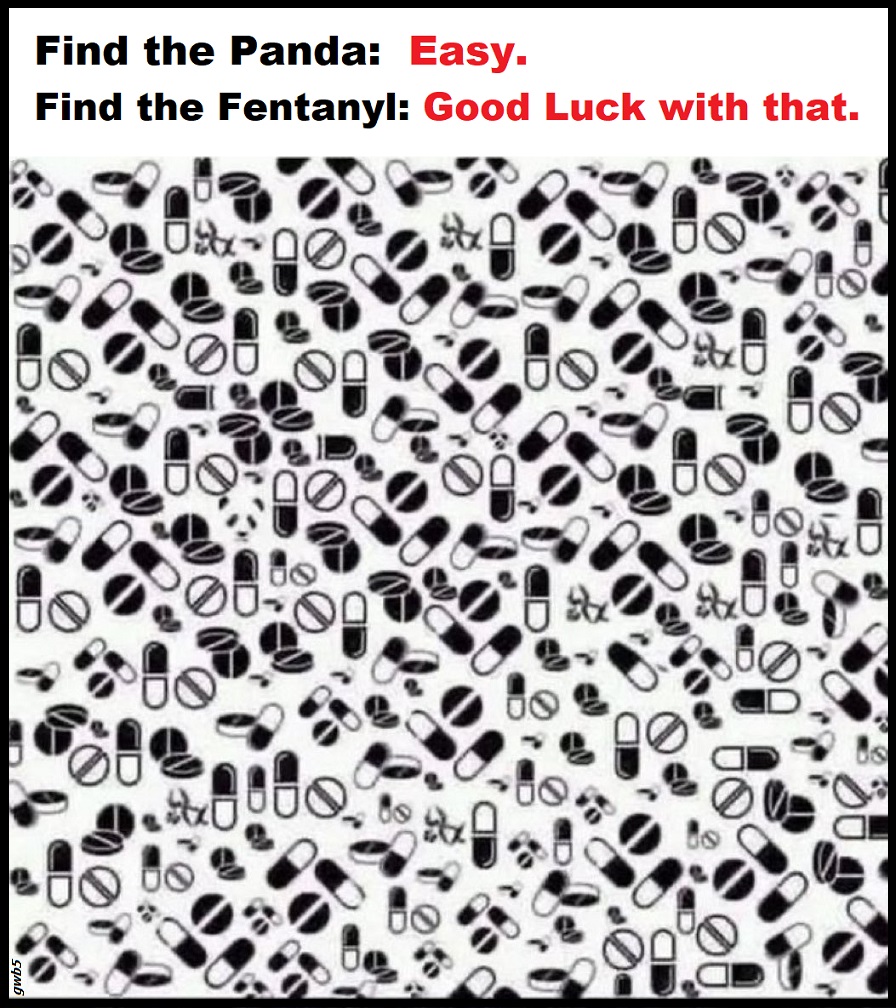 Find the Panda.  But watch out for the Fentanyl. #FentanylCrisis #OpioidEpidemic #BadRx #FentanylAwareness #JustSayKNOW #gwb5