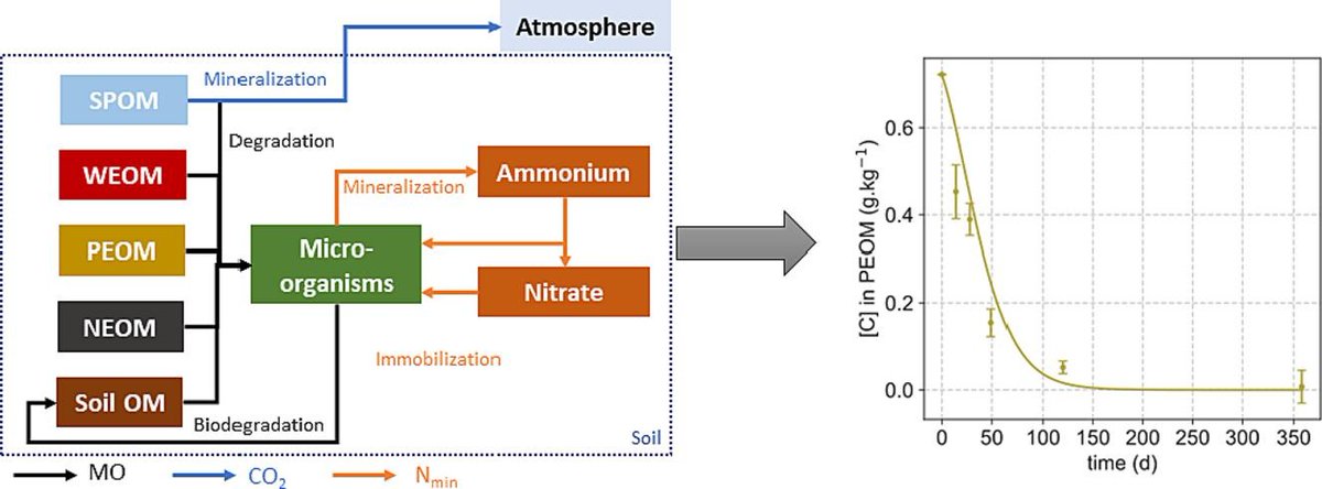 LBE_INRAE's tweet image. New LBE paper! “SoilFract: A #mechanisticmodel accounting for the fate of exogenous #organicmatter in soil carbon and nitrogen cycles” doi.org/10.1016/j.wasm…
