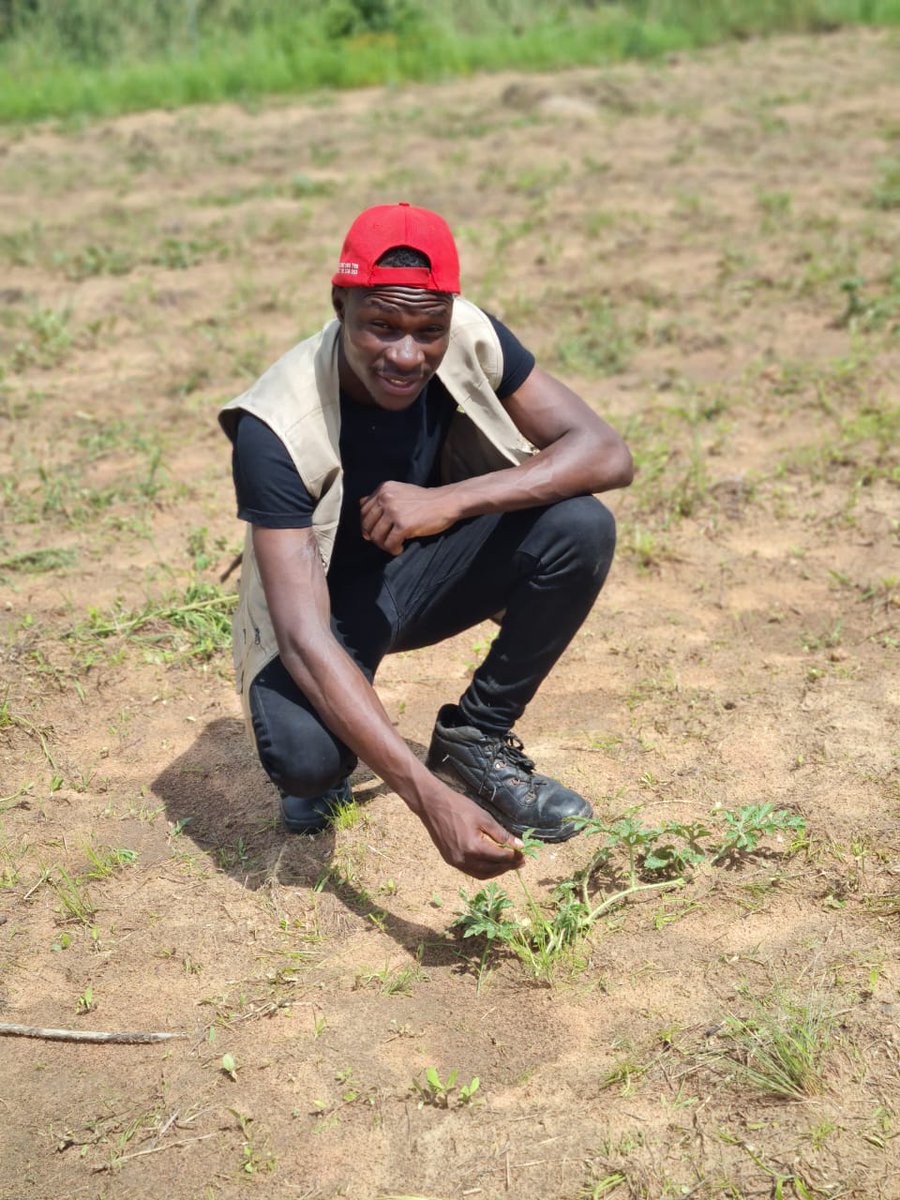 ✍🏾 Sometimes pain is proof that you're on the right path.Any great pursuit will stretch you, It will make you uncomfortable but it will also lead you to greatness.
<a href="/CelinaHatidani/">Mudhumeni Wabantu:</a> <a href="/farmhutafrica/">Farmhut Africa</a> <a href="/farmhutafrica/">Farmhut Africa</a> <a href="/PoteDior/">Dior Pote</a> <a href="/kaytaykate/">Karen Katerere</a> <a href="/Fran_Mapindani/">Francis B. Mapindani</a> <a href="/GlobalFarmersC1/">Global Farmers Connect🌍</a> <a href="/ndakaripa/">Ndakaripa Hungwe🌻</a>