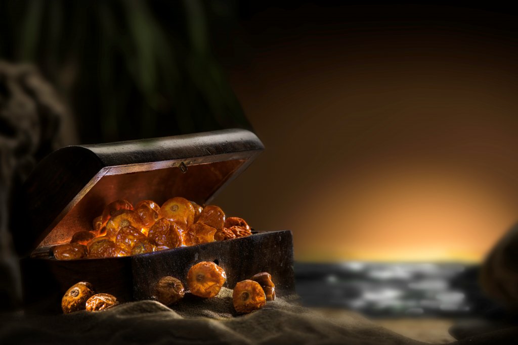 EnWaveCorp's tweet photo. Goldenberries are a source of antioxidants, vitamins A & C, phosphorus, and potassium. Our partner @NXTDRIED offers #REVdried goldenberries as a crunchy snack with exceptional nutritional retention. Learn more here: https://t.co/ty5FVhJyG8
#partnerships #EnWave #superfoods https://t.co/4yTmtWUW9Q