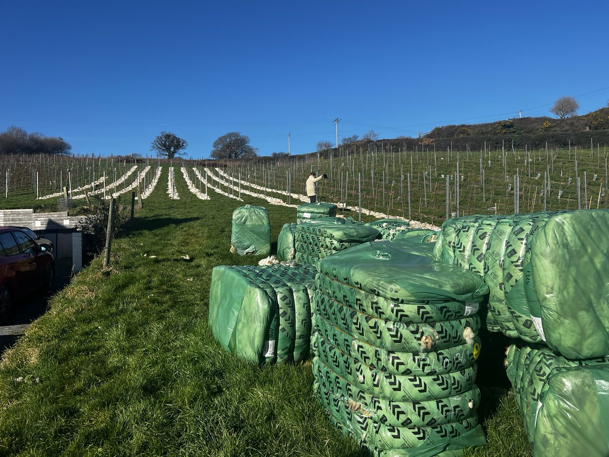 Wool and Vine tweet media