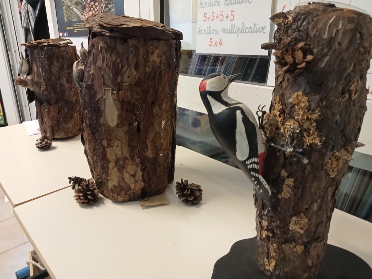 Académie de Corse (@accorse) on Twitter photo Le kit 'Goliat' a tout de suite plu à l'école rurale à classe unique de #Vivario car il fait sens avec l'environnement dans lequel se trouve l'école, c'est-à-dire en zone montagneuse. Avec l'animatrice du <a href="/parcudicorsica/">Parc naturel regional de Corse - Parcu di Corsica</a>, les élèves ont présenté le travail mené autour du 🔥. Le kit 'Goliat' a tout de suite plu à l'école rurale à classe unique de #Vivario car il fait sens avec l'environnement dans lequel se trouve l'école, c'est-à-dire en zone montagneuse. Avec l'animatrice du <a href="/parcudicorsica/">Parc naturel regional de Corse - Parcu di Corsica</a>, les élèves ont présenté le travail mené autour du 🔥.