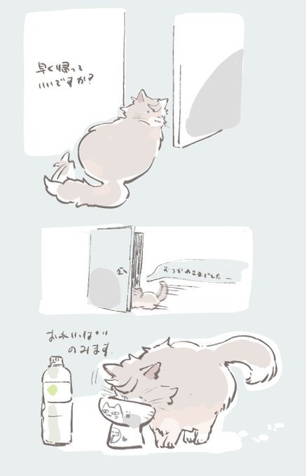 早く帰りたニャンコ 