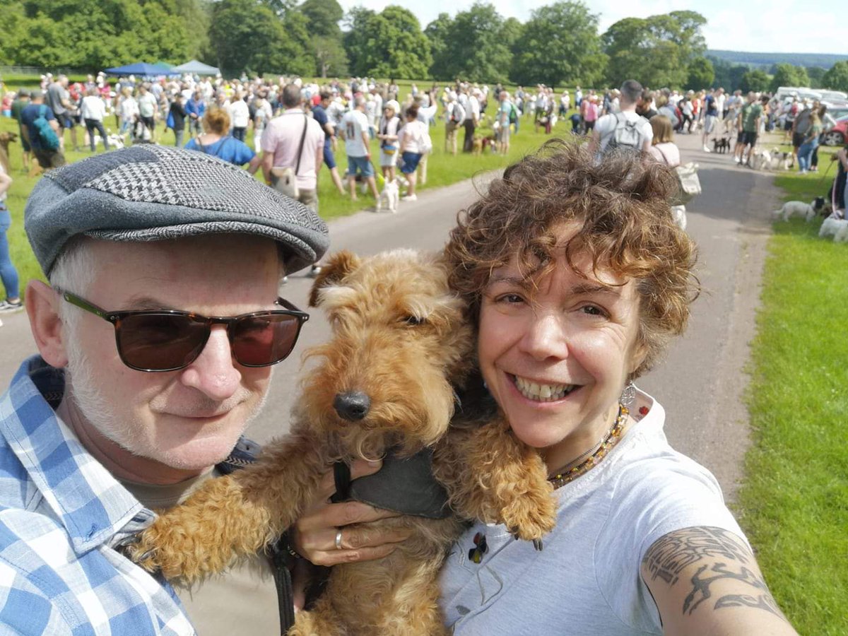 National Fox Terrier Meet tweet media