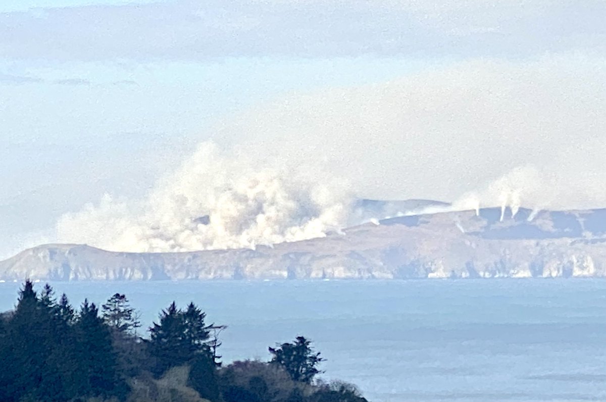 Whatever about the wildlife how the hell do the Kerry locals put up with that volume of thick smoke from this level of burning. Inside or outside of the breeding season this seems dangerous.