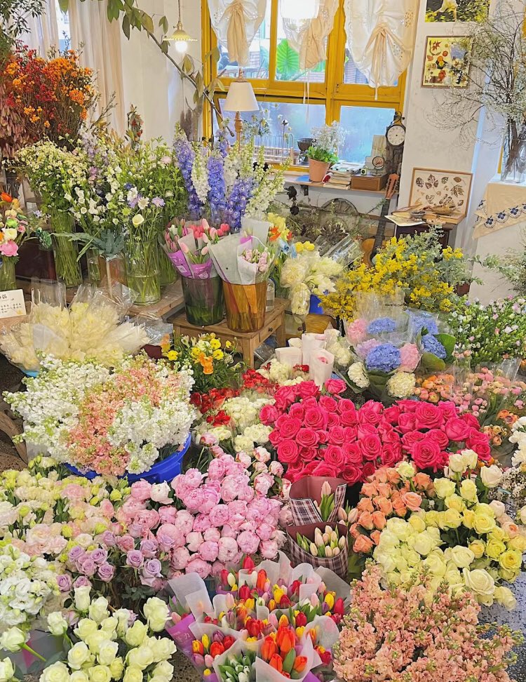 blueblue‎੯‧̀͡u\ on Twitter "RT piinkifairy flowers make me so happy"