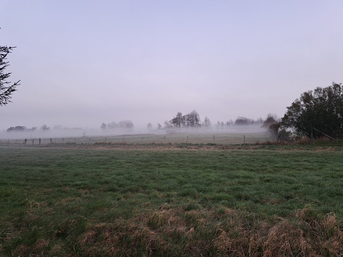 vdb_vicky's tweet photo. Iets met ochtendstond..3 graden in Drongen om 8:10. #vrtweer https://t.co/lM2Wne5Vbe