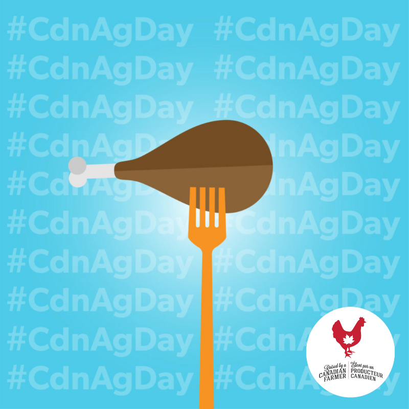 Chicken Farmers of Ontario tweet media