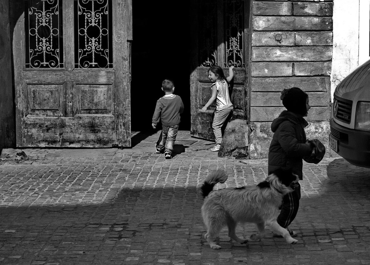 wipplay's tweet image. [QUESTION DU JOUR] Sauriez-vous deviner notre prochain #concoursphoto ? Répondez-nous en commentaire 🤩
📸 israels 
📸 @GuermondLouis 
📸 @auclairde
📸 Liloub 

#photocontest #QuestionOfTheDay #guesswhat