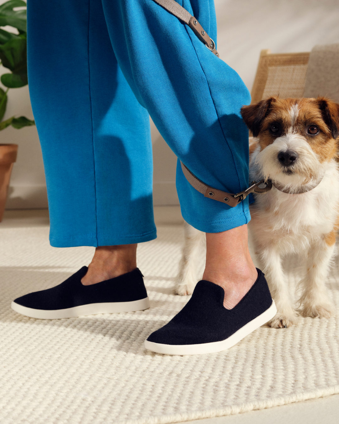 Allbirds wool deals loungers