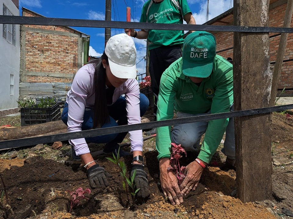 sincensurapop's tweet image. en el barrio Los Campos LA @AlcaldiaPopayan  realizó el cerramiento y siembra de 120 plantas ornamentales. Ahora, este espacio luce aún más agradable. Estas jornadas de la secretaría #DAFE Continuarán para sembrar vida en cada rincón de Popayán